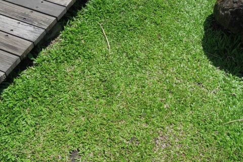 Landscaping Contractors Cottingham