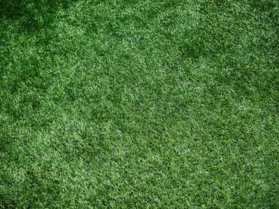 Landscaping near me Cottingham