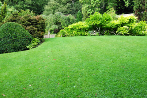 Turfing Humberside