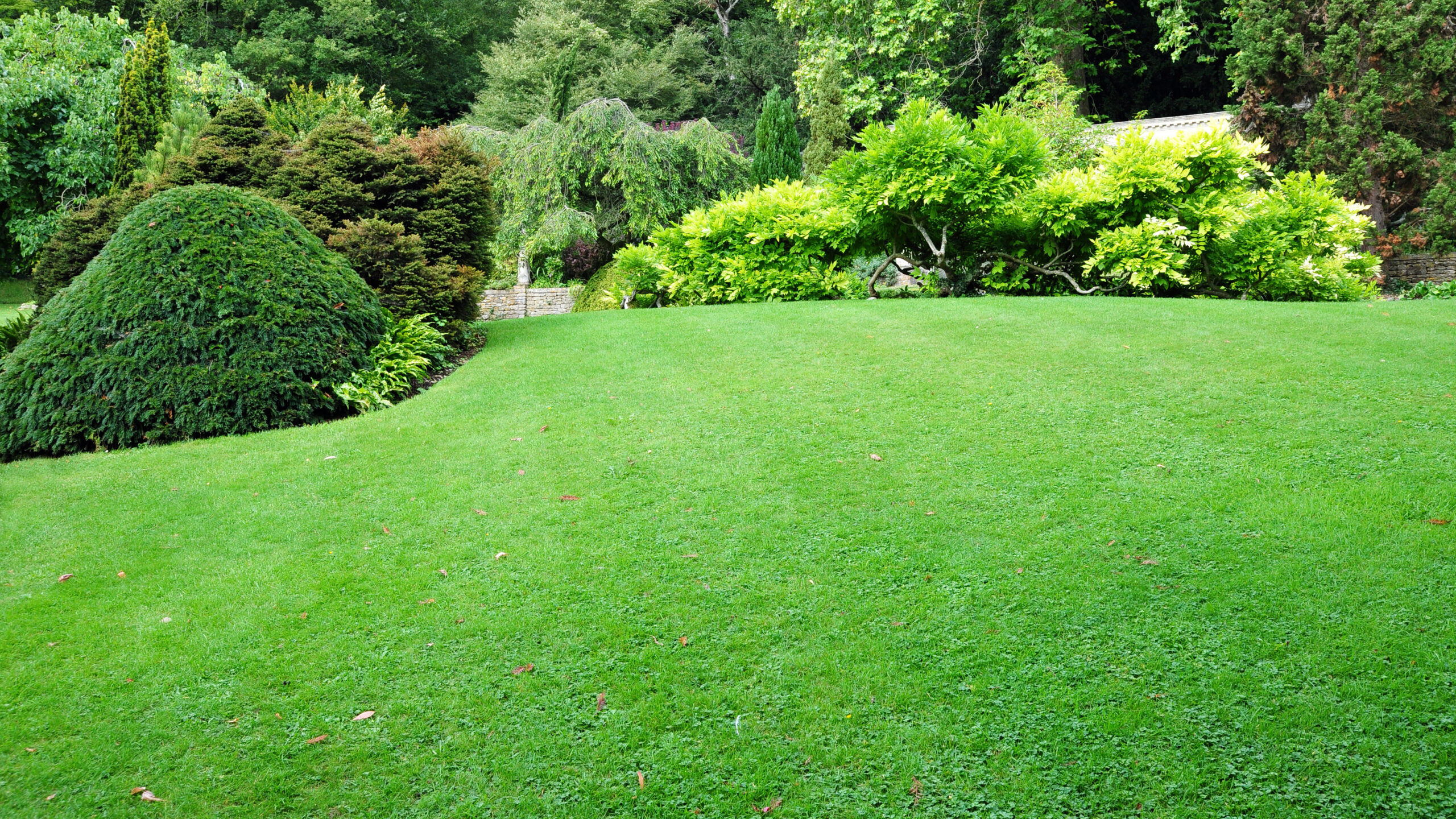 Turf Installation