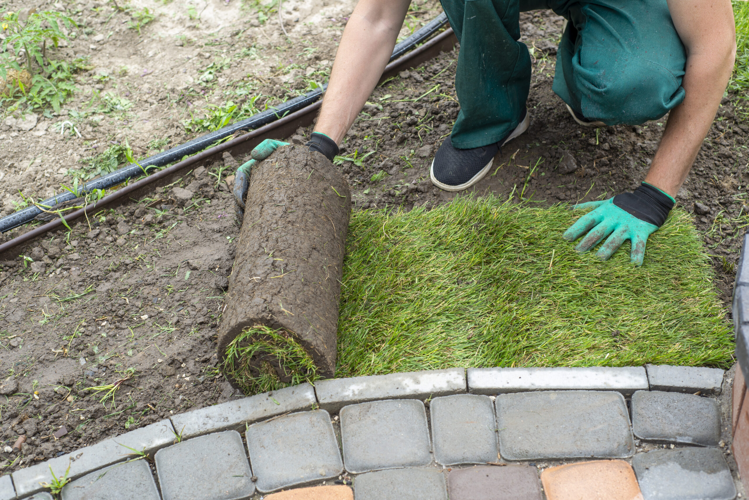Turfing Humberside