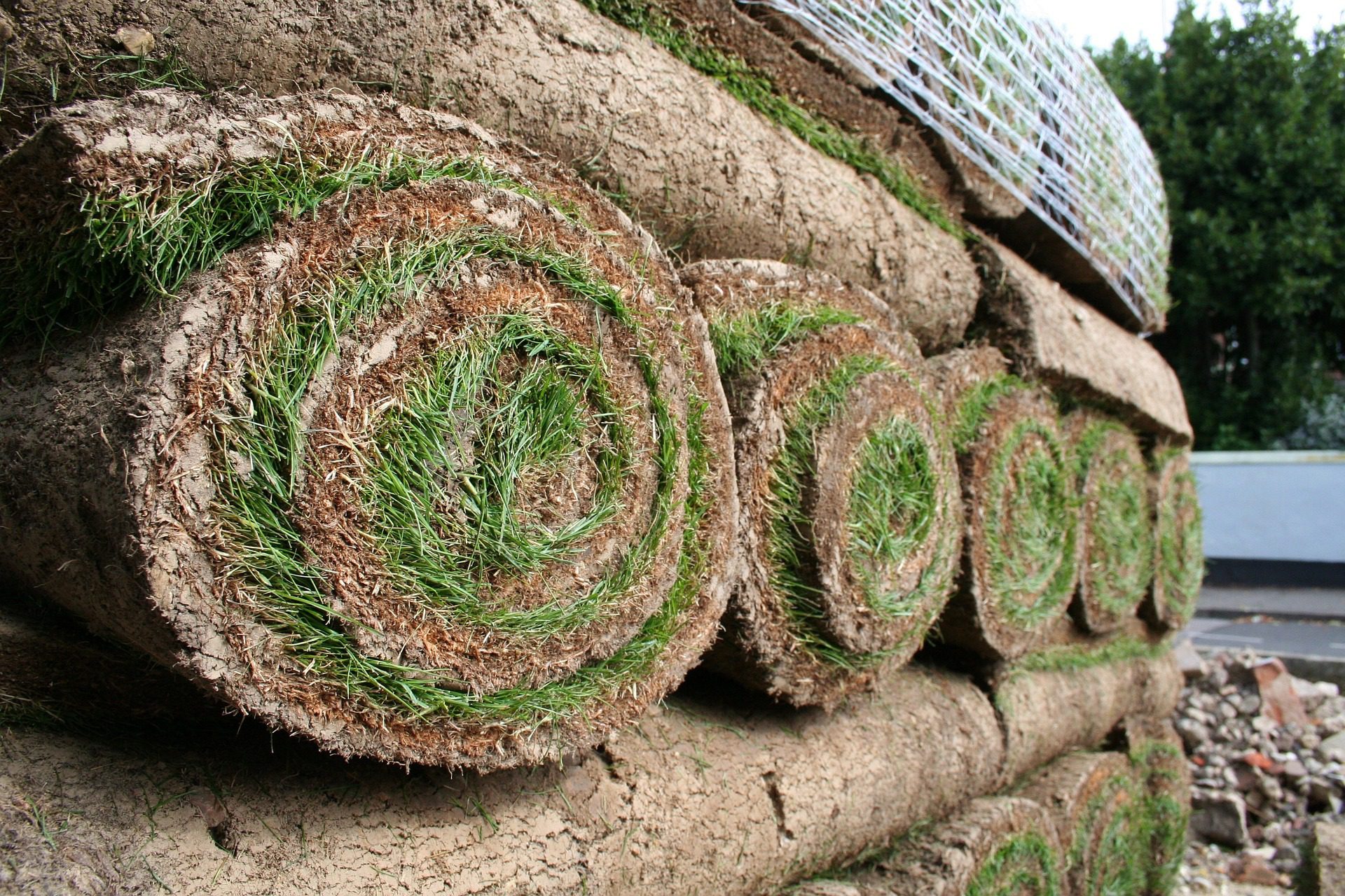 Turf Humberside